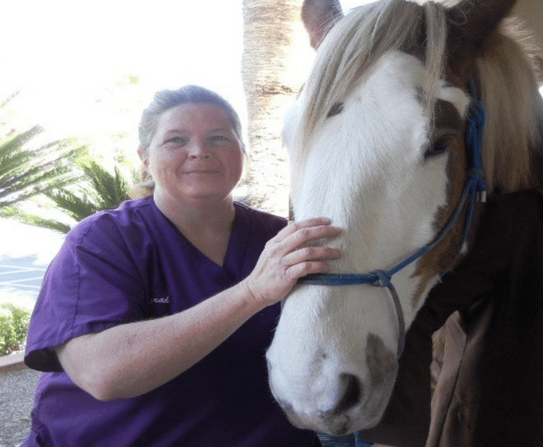 Woman in a purple shirt next to a horse